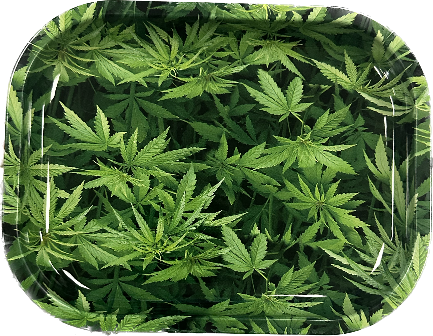 Small rolling tray