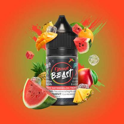 Flavour Beast Salt E-Liquid 30mL