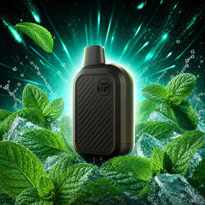 Flavour Beast SIX Disposable
